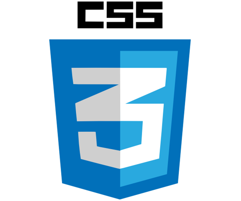 CSS Logo