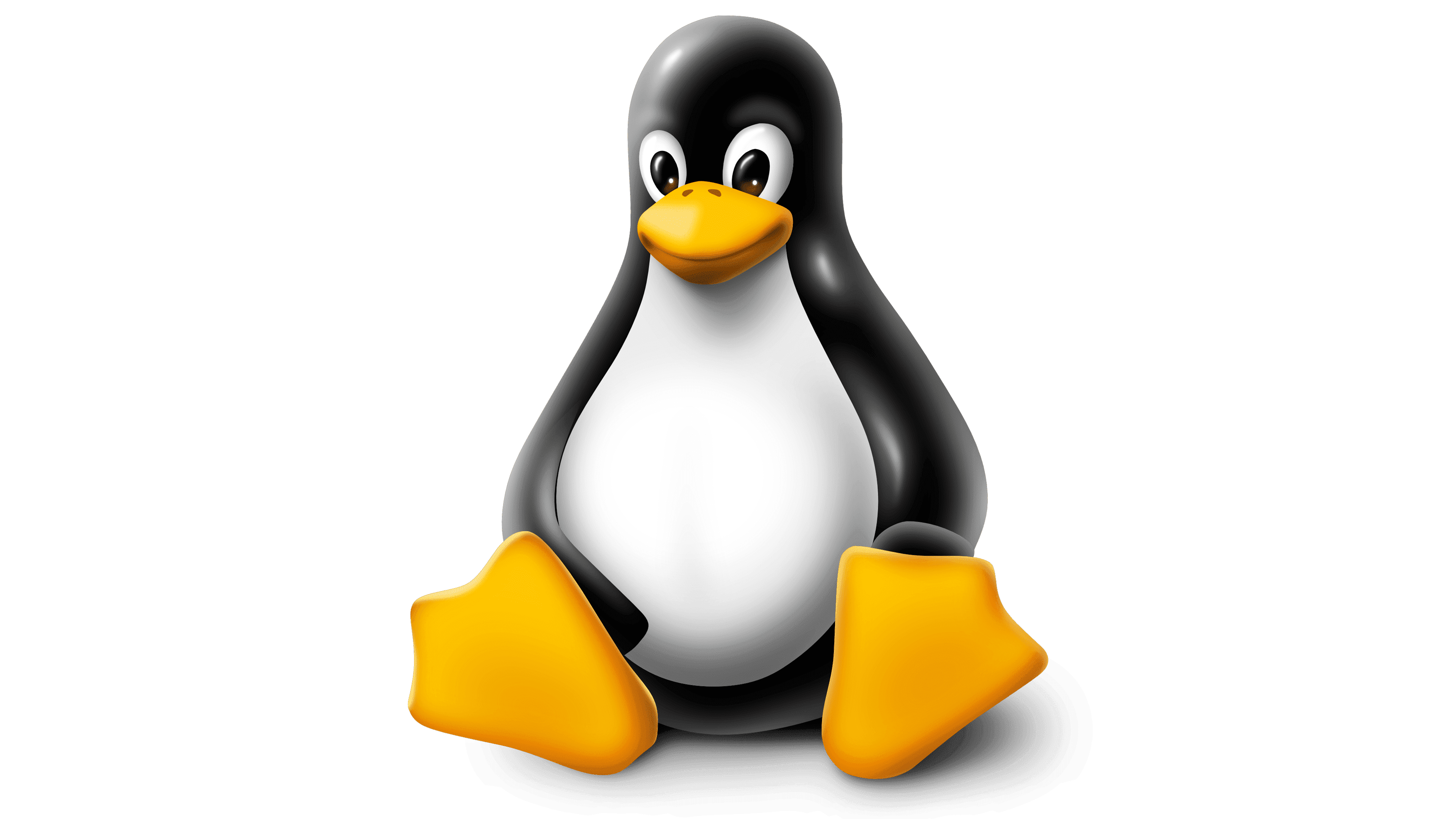 Linux Icon